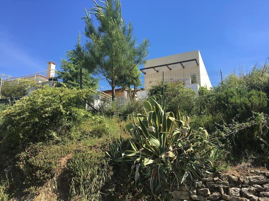 A Casa Da Lua Villa Tomar Exterior foto